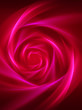 abstract shining rose