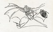 Drawing of a Flying Machine by Leonardo da Vinci
