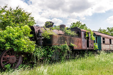 An Old Abandoned And Rusty Steam Locomotive Overgrown With Branches And Green Bushes Standing On An Unused Railway With Dry Grass And Blue Sky