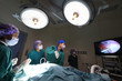 © nimon_t - group of veterinarian doctor in operation room for laparoscopic surgical