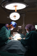 © nimon_t - group of veterinarian surgery in operation room