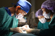 © nimon_t - group of veterinarian surgery in operation room