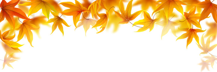 Wall Mural - falling autumn maple leaves on white background