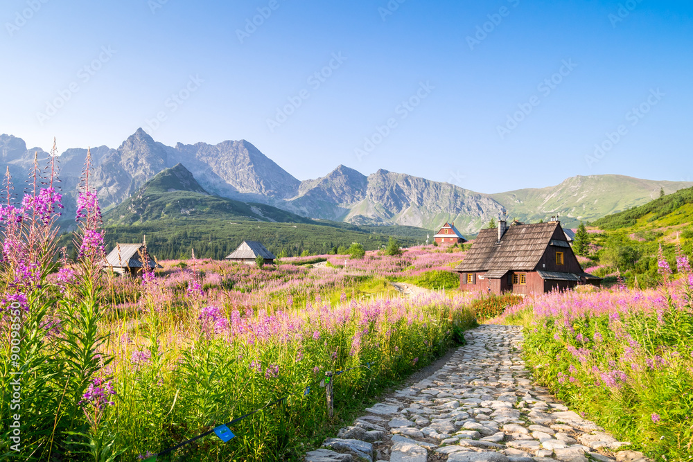 Wooden huts scattered on flowery meadow - obrazy, fototapety, plakaty 
