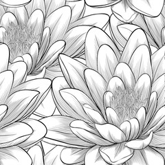 black and white seamless pattern with lotus flowers.