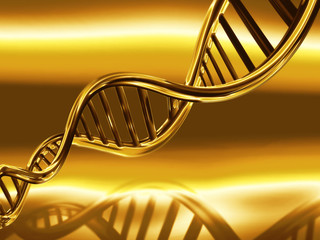 Golden DNA strands