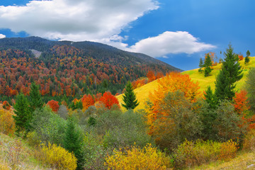 Wall Mural - bright sunny autumn in the mountains