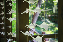 Origami White Paper Birds Decoration In Japanese Garden  In Nature, Wedding Origami Cranes