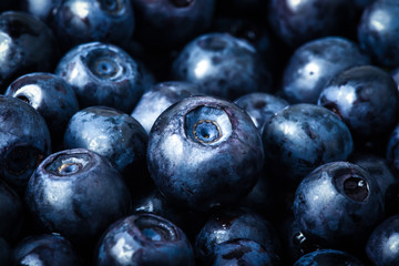 Wall Mural - blueberries collected manually. background