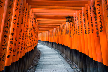 Fototapete - Fushimi Inari Schrein in Kyoto