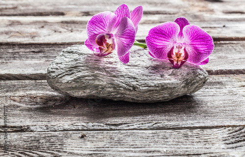 Naklejka na kafelki delicate pink orchids on grey pebble and old texture wood