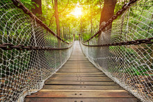 Suspension Bridge In The Forest