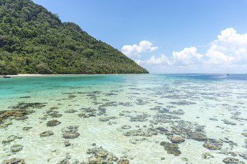 Wall Mural - Corals at a Boghey Dulang island, Sabah, Malaysia.