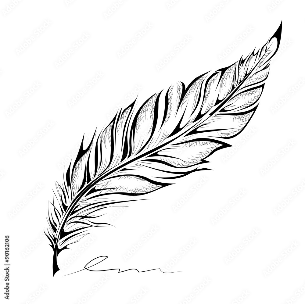 Hand drawn feather on white background Stock Vector | Adobe Stock
