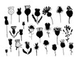 Agrimony plants collection, sketch for your design