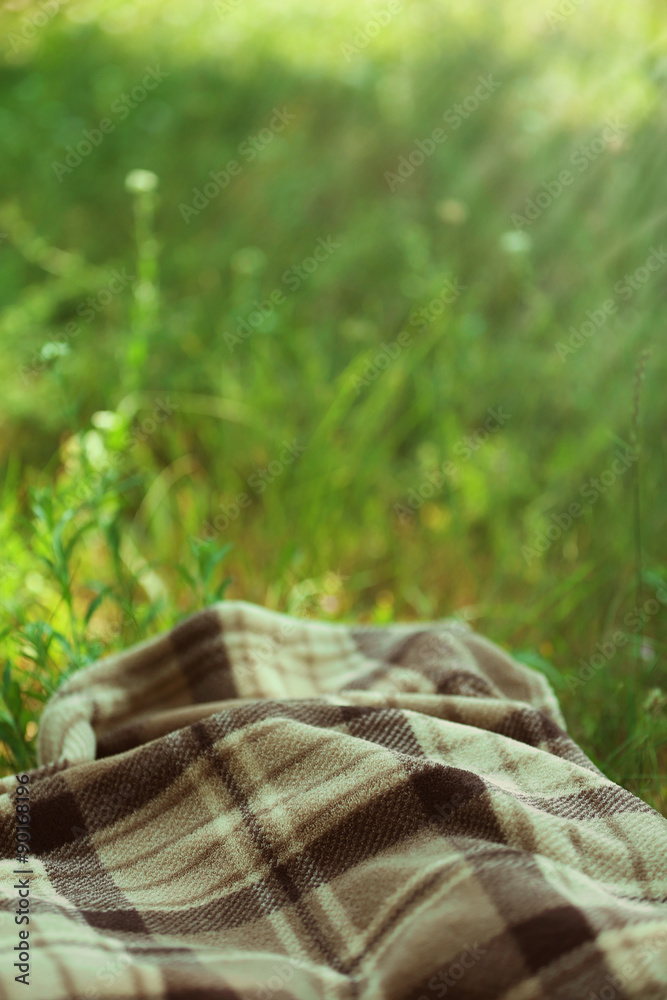 Plaid for picnic on green grass