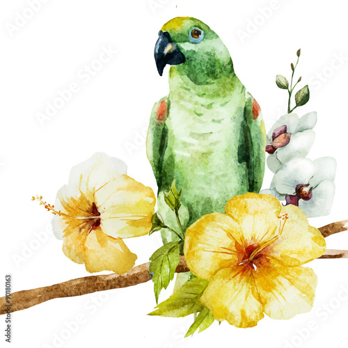 papuga-na-galezi-akwarela