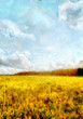 Yellow meadow and blue sky landscape - oil painting