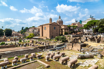 Ancient ruins of Forum in Rome