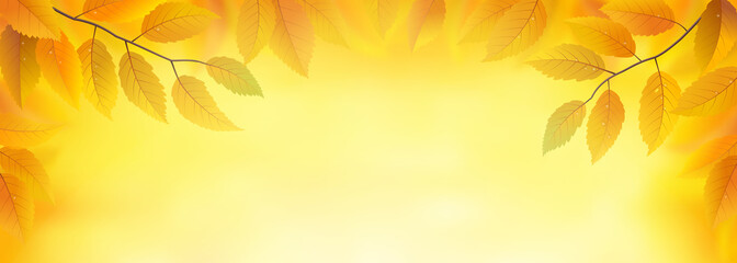 Wall Mural - autumn leaves frame background, vector illustration