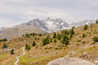 Zermatt, Dorf, Bergdorf, Alpen, Schweizer Berge, Walliser Alpen, Sunnegga, Findeln, Weiler, Wanderweg, Ober Gabelhorn, Wellenkuppe, Sommer, Wallis, Schweiz