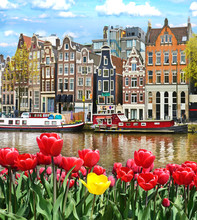 Beautiful Landscape With Tulips And Houses In Amsterdam, Holland