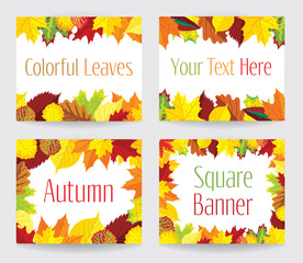 Wall Mural - Square banners with autumn leaves