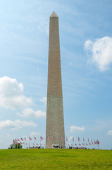 Wall Mural - Washington Monument