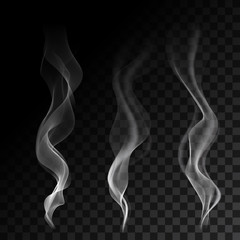 Poster - Light cigarette smoke waves on transparent background vector