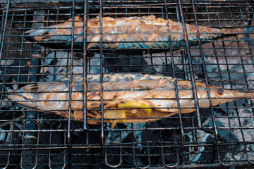 Two scombers being roasted in a brazier