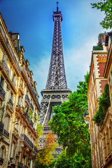 Wall Mural - eiffel tower
