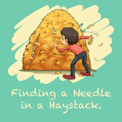 Sticker - Idiom finding a needle in a haystack