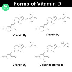 Canvas Print - Forms of vitamin D