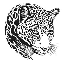 Jaguar Head Lineart