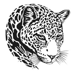 jaguar head lineart