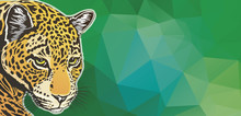 Jaguar Poster