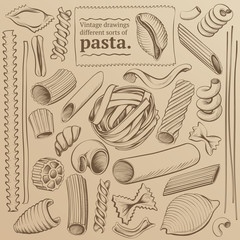 Freehand Vintage Contours Kinds of Pasta