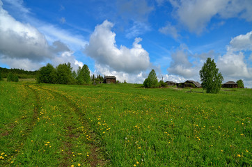 green meadow with yellow flowers, countryside, blue sky with clouds, dirt road