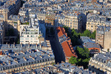 Fototapeta Miasto - Paris roofs