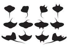 Set Of Stingray Silhouette And Icons