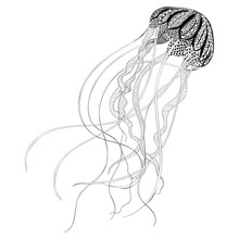Zentangle Stylized Black Jellyfish. Hand Drawn Vector Illustrati