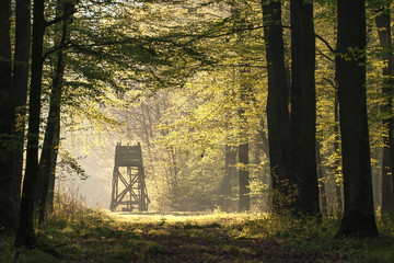 Hunting hide in the sunrise.