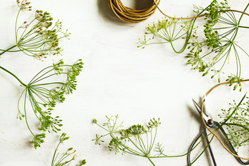 Canvas Print - Flower of green dill on wooden background with copy space. Fennel.