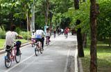 Fototapeta  - people cycling in the park
