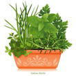 Italian herb garden, Mediterranean cooking: Oregano, Garlic Chives, Sweet Basil, Flat Leaf Parsley, Rosemary, clay flowerpot planter