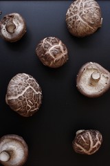 Poster - Shiitake mushrooms