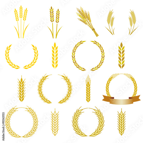 228 372 Wheat Barley Grain Wall Murals Canvas Prints Stickers Wallsheaven 228 372 Wheat Barley Grain Wall Murals Canvas Prints Stickers Wallsheaven