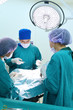 © nimon_t - group of veterinarian surgery in operation room
