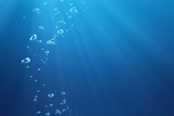 Fototapeta Do akwarium - air bubbles under water