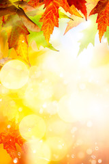 Wall Mural - Art abstract autumn background